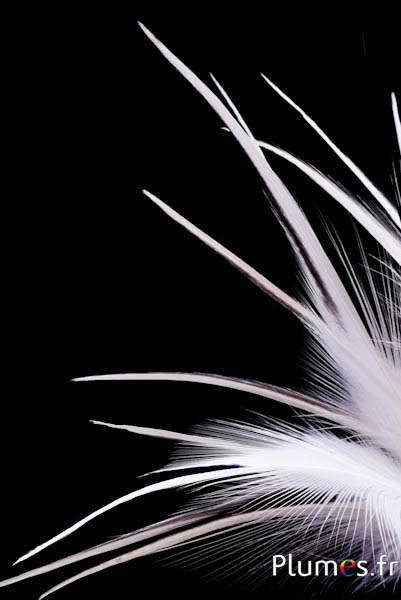 Reiher - 13-16 cm - naturweiss-creme-grau